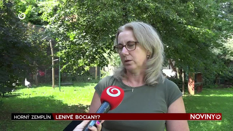 LENIVÉ BOCIANY?