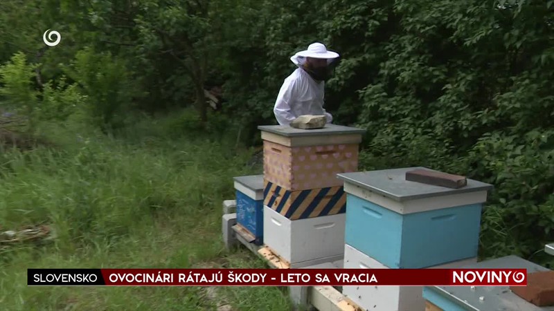 OVOCINÁRI RÁTAJÚ ŠKODY - LETO SA VRACIA