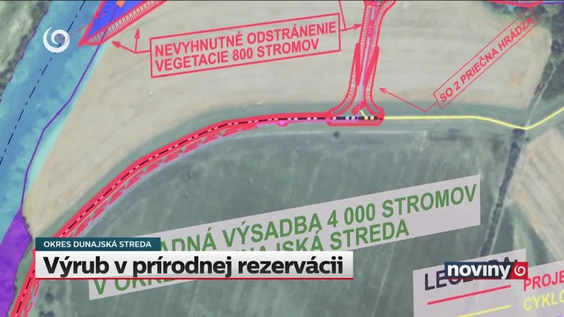 Výrub v prírodnej rezervácii