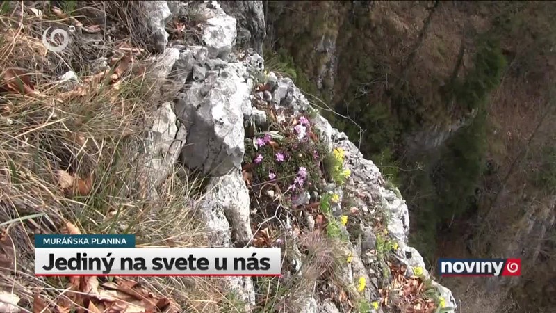 Jediný na svete u nás