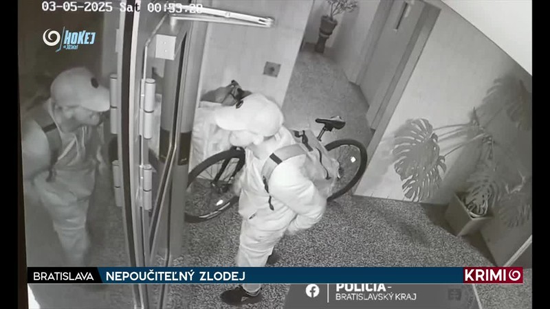 NEPOUČITEĽNÝ ZLODEJ