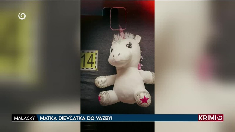 MATKA DIEVČATKA DO VÄZBY!