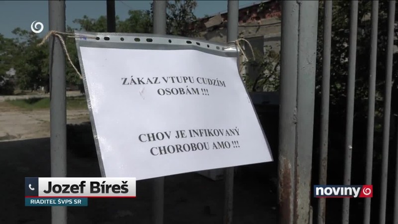 Mor ošípaných vo veľkochove