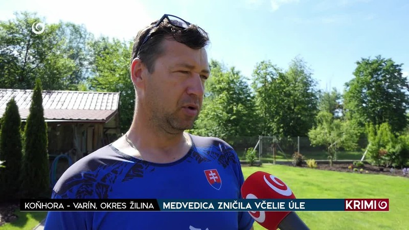 MEDVEDICA ZNIČILA VČELIE ÚLE