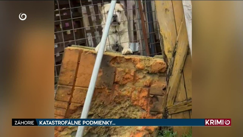 KATASTROFÁLNE PODMIENKY...