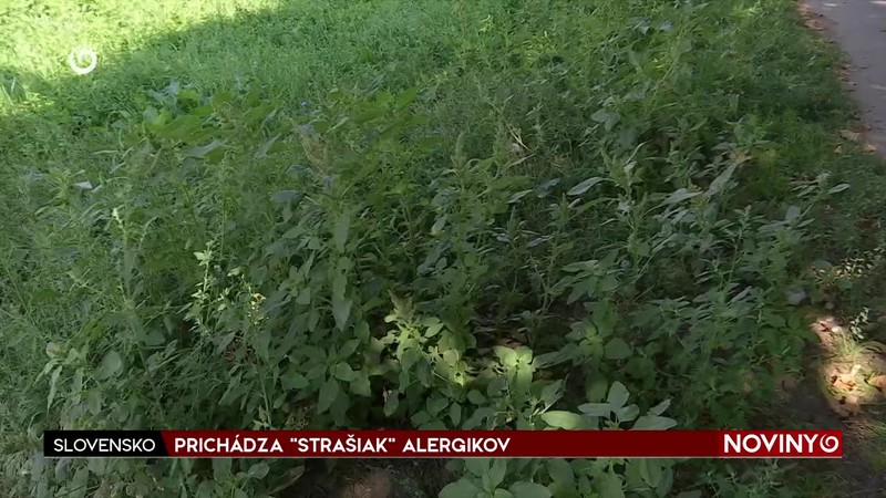 PRICHÁDZA "STRAŠIAK" ALERGIKOV