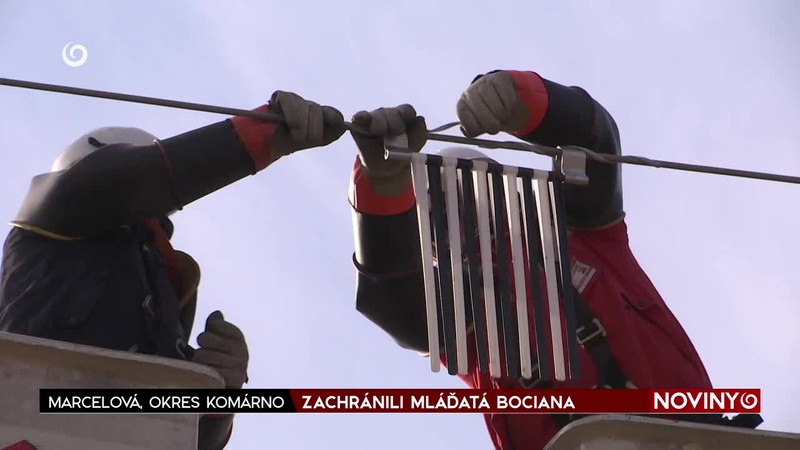 ZACHRÁNILI MLÁĎATÁ BOCIANA