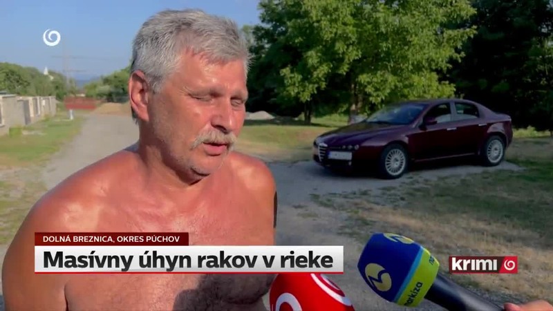 Masívny úhyn rakov v rieke