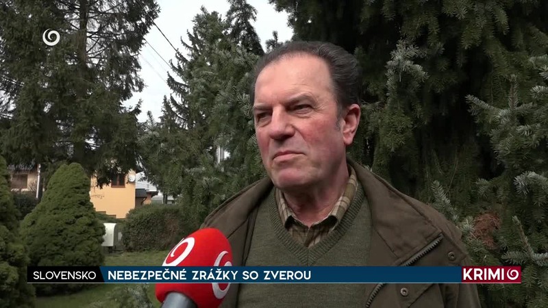 NEBEZPEČNÉ ZRÁŽKY SO ZVEROU