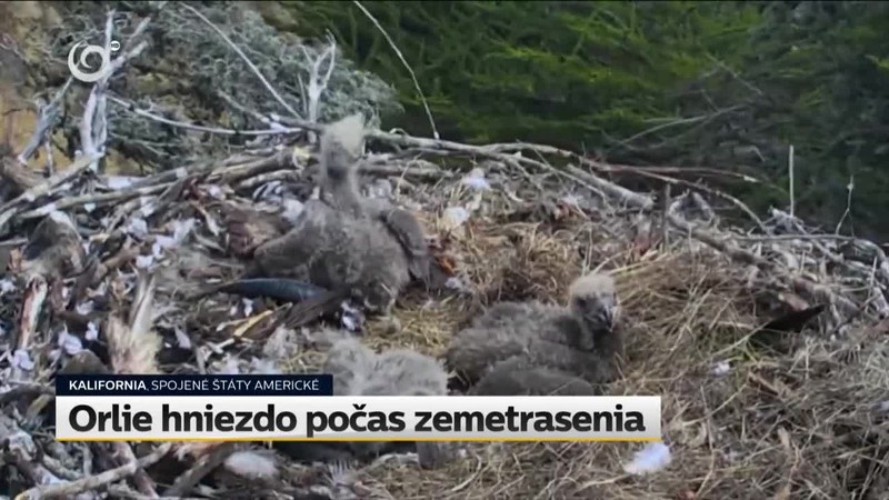 Orlie hniezdo počas zemetrasenia