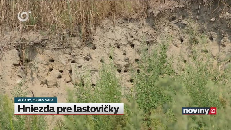 Hniezda pre lastovičky