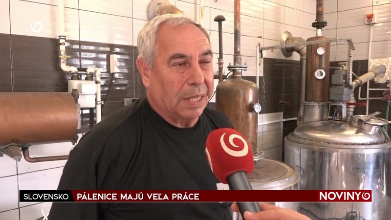 PÁLENICE MAJÚ VEĽA PRÁCE