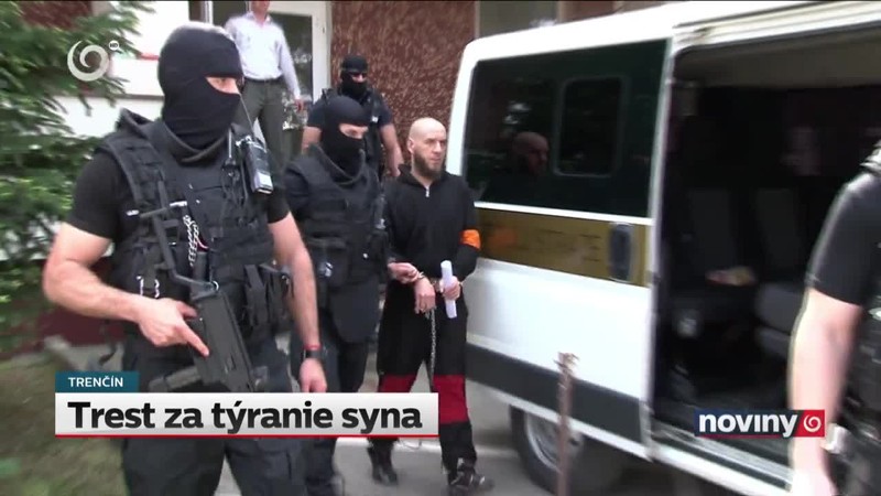 Trest za týranie syna