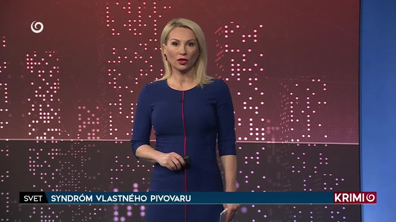 SLOVÁK ZAPLETENÝ DO MEGABIZNISU SO ZBRAŇAMI