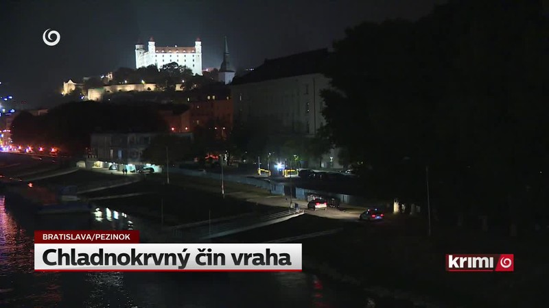 Chladnokrvný čin vraha
