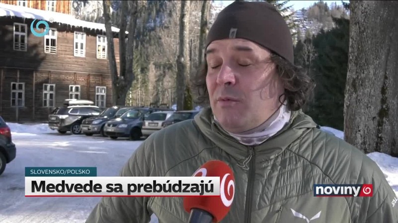 Medvede sa prebúdzajú