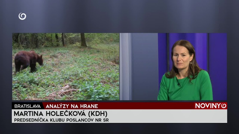 ANALÝZY NA HRANE