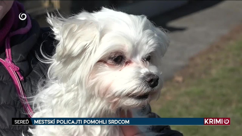 MESTSKÍ POLICAJTI POMOHLI SRDCOM