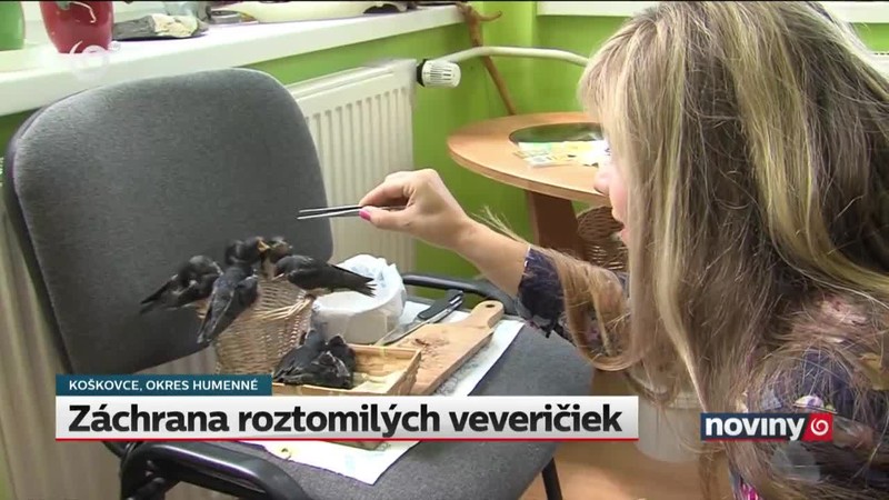 Záchrana roztomilých veveričiek