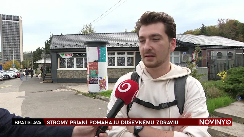 STROMY PRIANÍ POMÁHAJÚ DUŠEVNÉMU ZDRAVIU