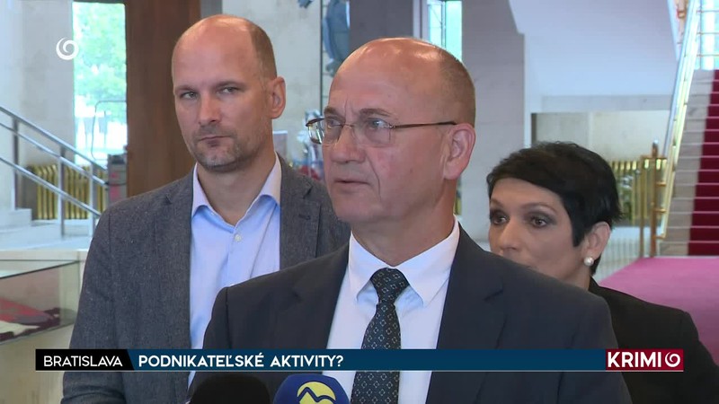 PODNIKATEĽSKÉ AKTIVITY?