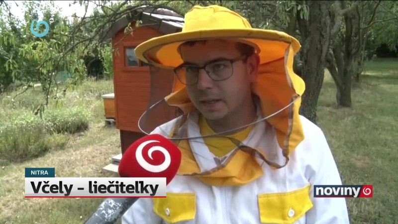 Včely - liečiteľky