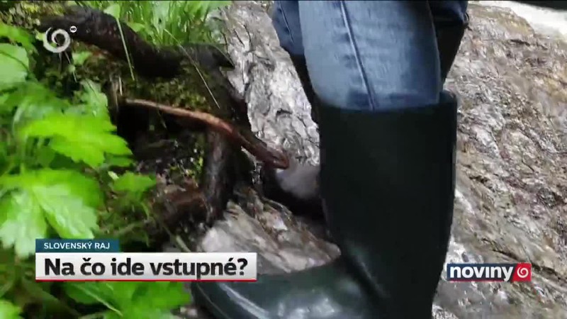 Na čo ide vstupné?