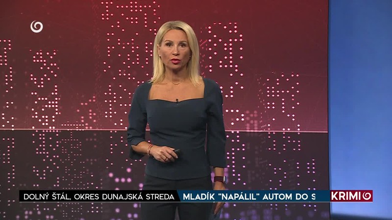 MLADÍK "NAPÁLIL" AUTOM DO STROMU
