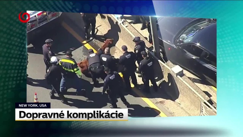 Kiskovo rozlúčkové turné