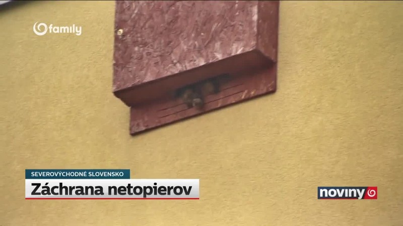 Záchrana netopierov