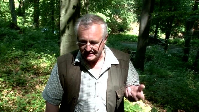 Odsúdeného väzňa privalil kmeň stromu