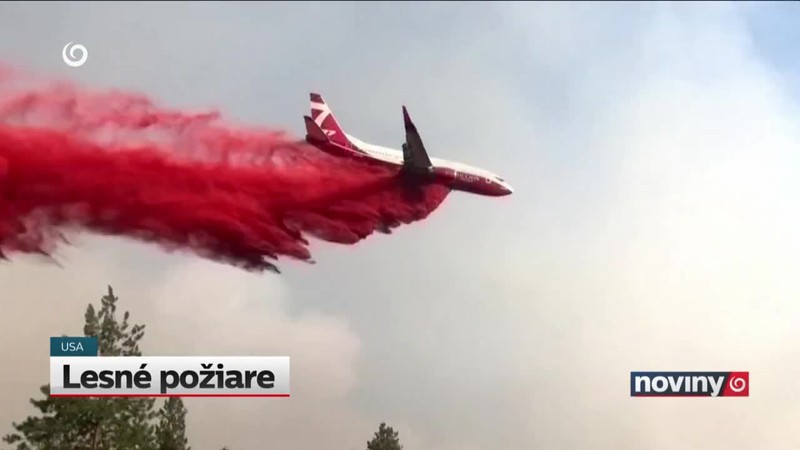 Lesné požiare