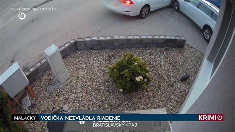 VODIČKA NEZVLÁDLA RIADENIE