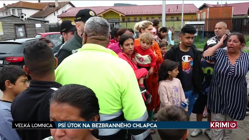 PSÍ ÚTOK NA BEZBRANNÉHO CHLAPCA
