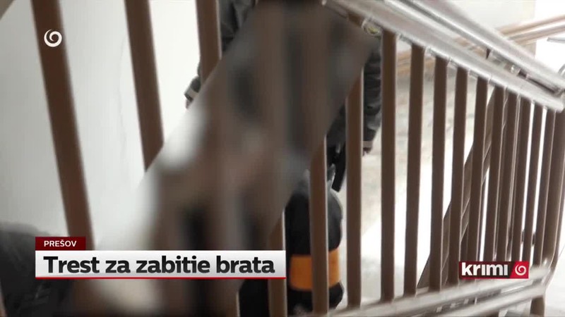 Trest za zabitie brata