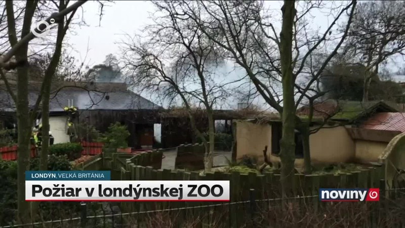 Požiar v londýnskej ZOO