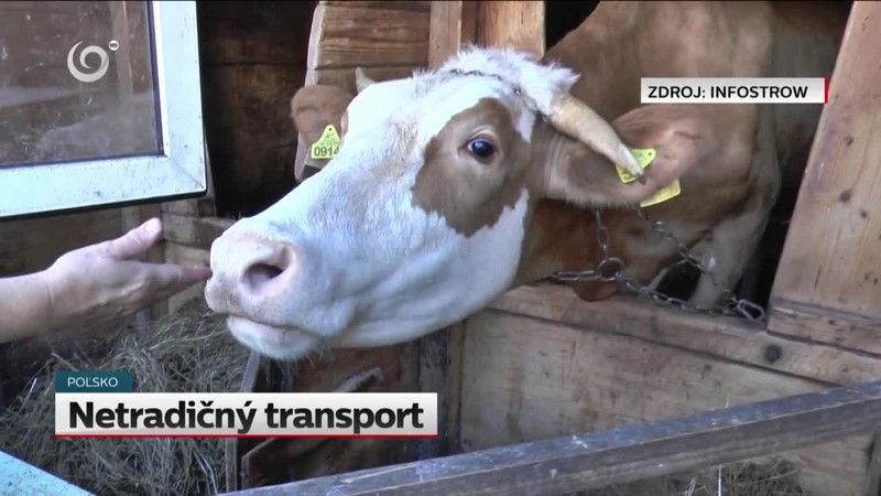 Netradičný transport
