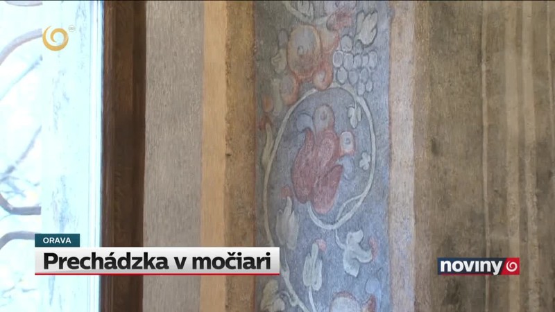 Prechádzka v močiari