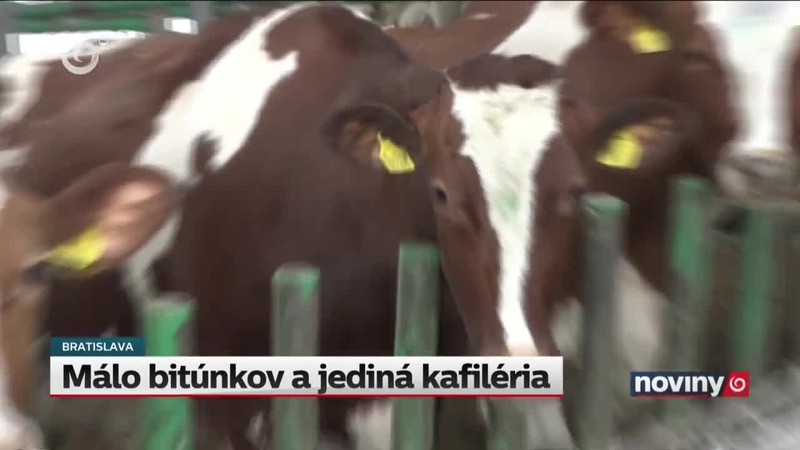 Málo bitúnkov a jediná kafiléria