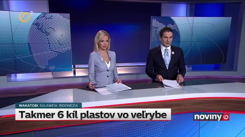 Takmer 6 kíl plastov vo veľrybe