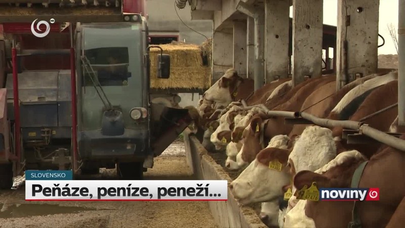 Peňáze, peníze, peneží...