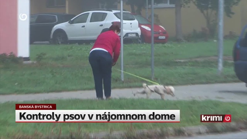 Kontroly psov v nájomnom dome