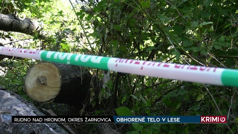 OBHORENÉ TELO V LESE