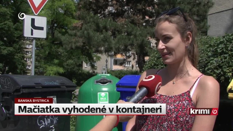 Mačiatka vyhodené v kontajneri