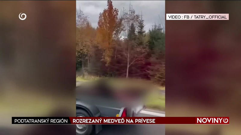 ROZREZANÝ MEDVEĎ NA PRÍVESE