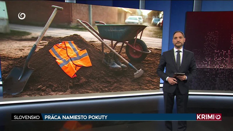 MŔTVA CHRÁNENÁ ZUBRICA