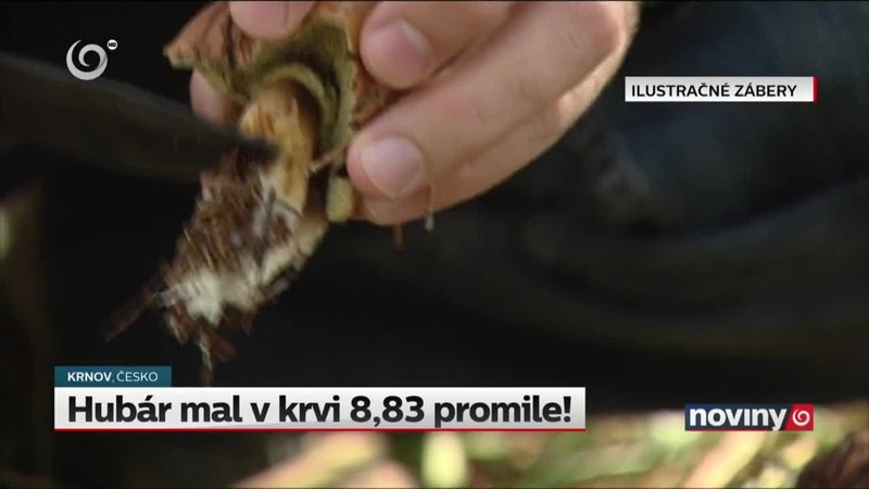 Daňoví kontrolóri a úplatok