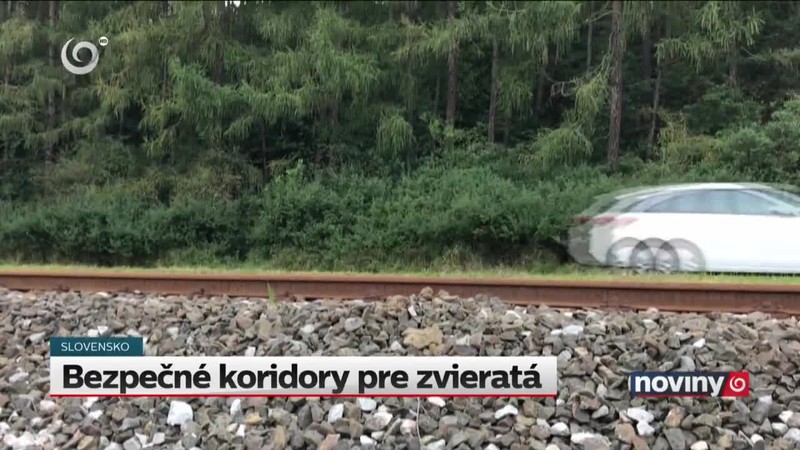 Bezpečné koridory pre zvieratá