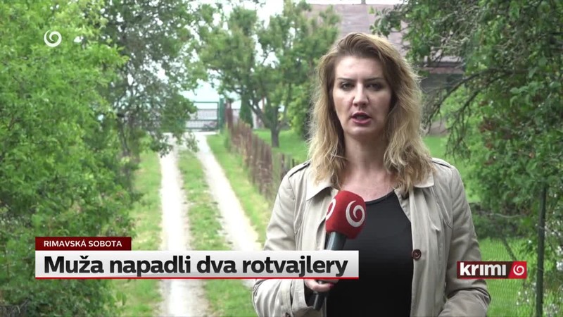 Muža napadli dva rotvajlery