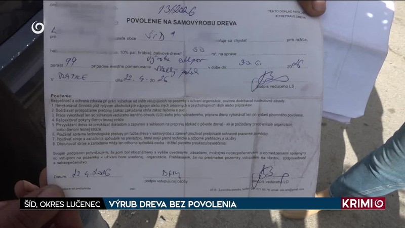 VÝRUB DREVA BEZ POVOLENIA